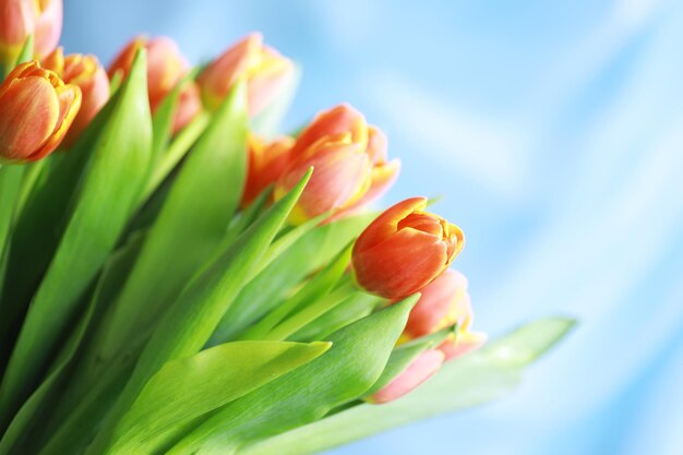 Fiori, vacanze primaverili e concetto di arredamento per la casa - Bouquet di bellissimi tulipani, sfondo floreale