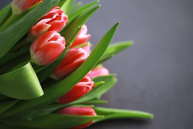 Fiori vacanze primaverili e concetto di arredamento per la casa Bouquet di bellissimi tulipani sfondo floreale