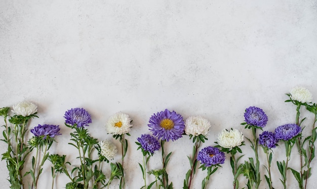 Fiori viola con sfondo di petali