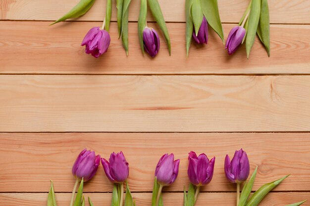 Fiori viola dei tulipani della primavera sulla tavola di legno. Petali blu lavanda primaverili in fiore. Bellissimi tulipani viola in primavera. Fiore di tulipano con foglie verdi su fondo in legno