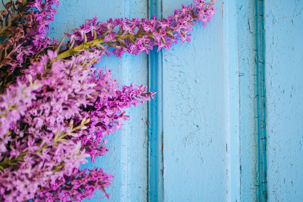 Fiori viola della maculata di Dactylorhiza su un fondo blu di legno