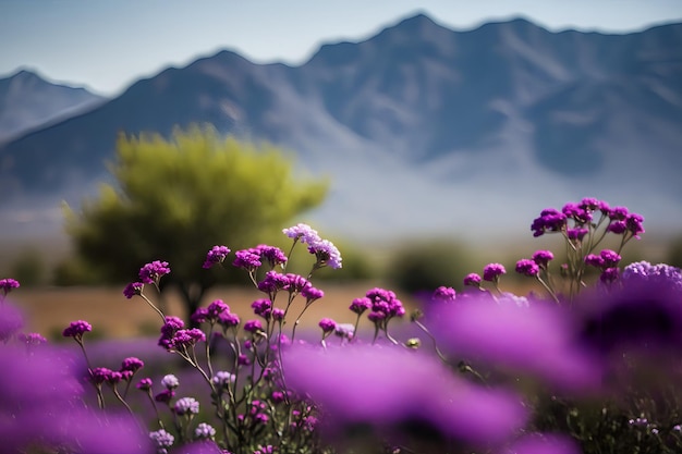 Fiori viola in un campo con le montagne sullo sfondo