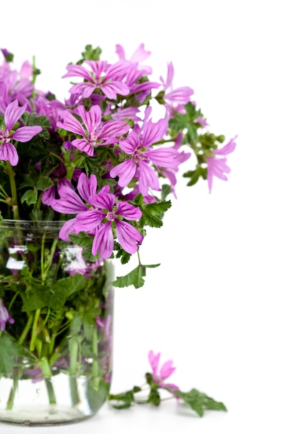 Fiori viola selvatici in vaso di vetro