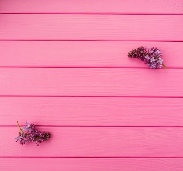 Fiori viola su sfondo rosa di tavole di legno