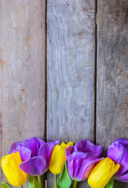 Fiorisca il mazzo dei tulipani su fondo di legno