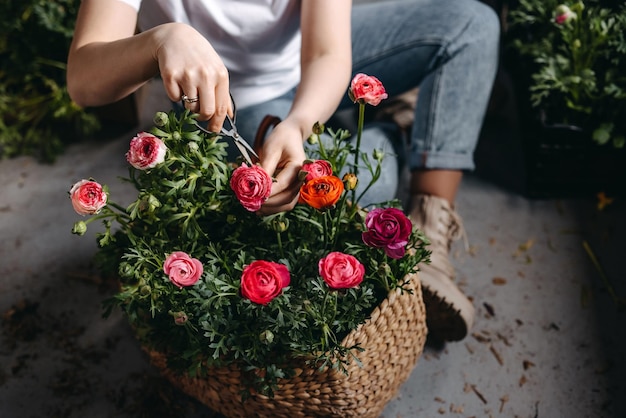 Fiorista che lavora in un negozio di fiori Donna che si prende cura dei fiori rosa usando il primo piano delle forbici metalliche