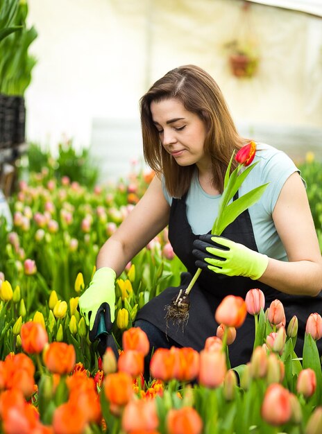 Fiorista giardiniere donna che tiene un mazzo di fiori in piedi in una serra dove coltivano i tulipani Giardiniere sorridente che tiene tulipani con bulbiLa primavera un sacco di tulipani concetto di fiori