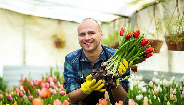Fiorista giardiniere uomo sorridente che tiene un mazzo di fiori in piedi in una serra dove coltivano i tulipani