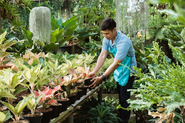 Fiorista maschio che lavora al giardino