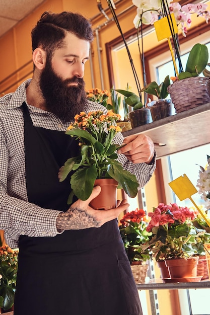 Fiorista professionista con barba e tatuaggio sulla mano che indossa l'uniforme tiene il vaso con un mazzo di fiori nel negozio di fiori.