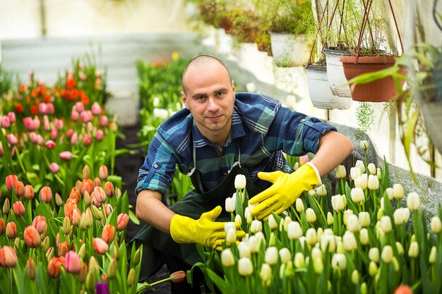 Fioristi uomo che lavora con i fiori in una serra Primavera un sacco di tulipaniconcetto di fioriColtivazione industriale di fiorimolti bei tulipani colorati