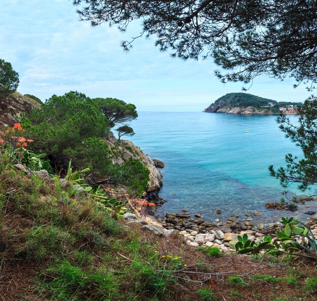 Fioritura della costa di Palamos Paesaggio mattutino d'estate Girona Costa Brava Spagna