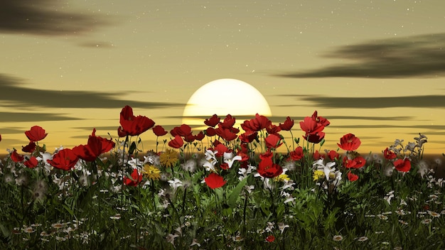 Fioritura di campi di fiori di papavero al tramonto Fiori di papavero rossi nell'erba verde in estate rendering 3d