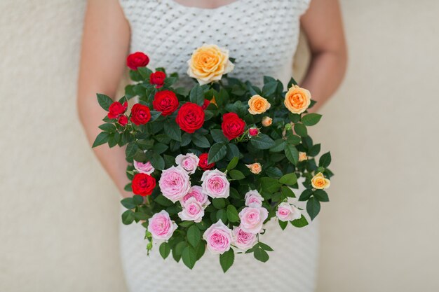 Fioritura rosa in un cesto in mano femminile