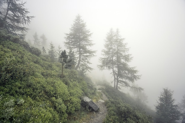 Fitta nebbia che copre le montagne alpine