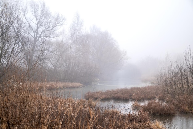 Fitta nebbia sopra l'ansa del letto del fiume nella mattina di inizio autunno