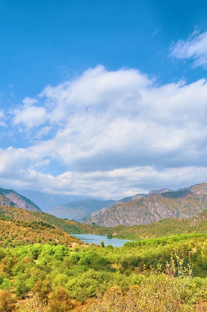 Fitte foreste e laghi tra colline e altopiani