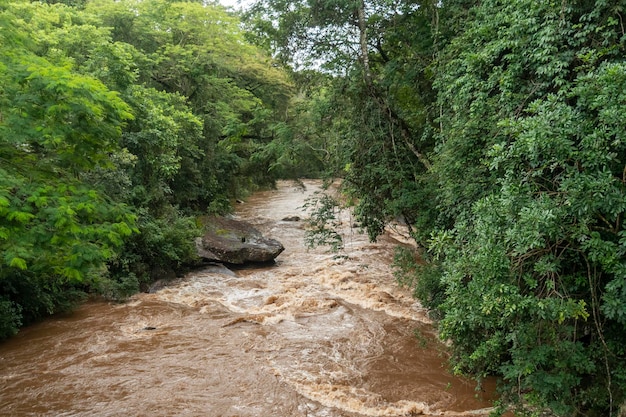 Fiume Aiuruoca Minas Gerais Brasile Foresta pluviale tropicale