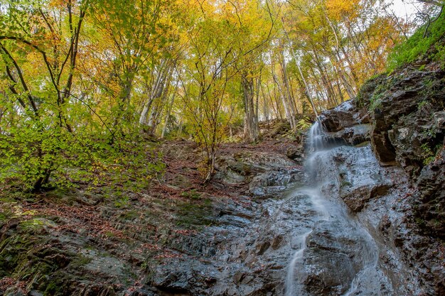 Fiume alla sorgente