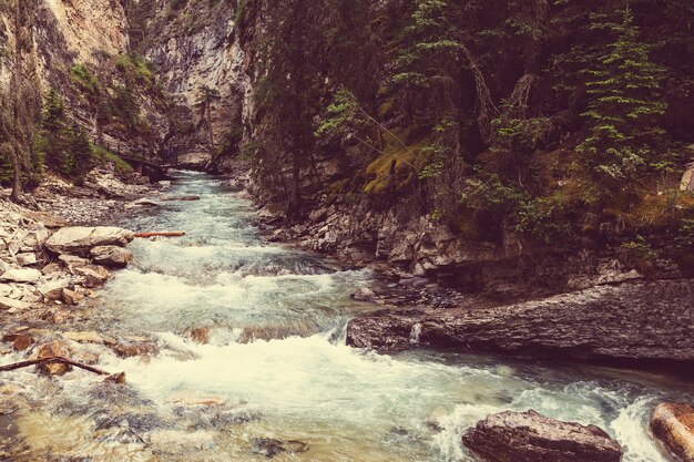 Fiume Athabasca nel Parco Nazionale di Jasper