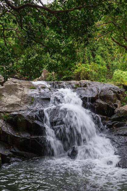 Fiume cascata nella foresta tropicale