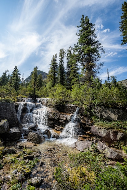 Fiume che attraversa la foresta variopinta di autunno. Bella caduta fiume con rocce e alberi