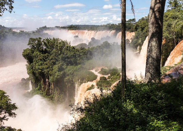 Fiume che porta alle cascate dell'Iguazú