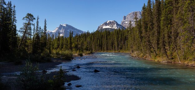 Fiume che scorre attraverso le Montagne Rocciose canadesi durante una soleggiata giornata estiva