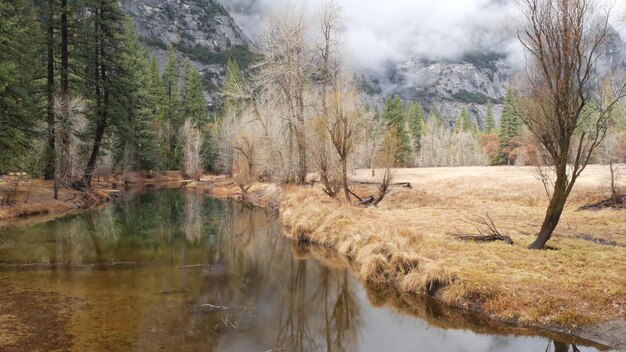 Fiume che scorre foresta autunnale california calma superficie del flusso d'acqua o torrente