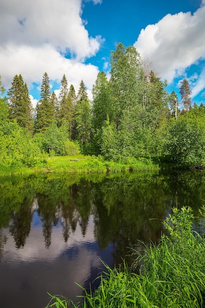 Fiume che scorre nella foresta Bellissimo paesaggio estivo con cielo azzurro e nuvole Natura della Carelia