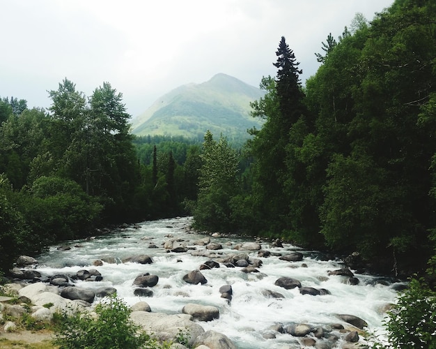 Fiume che scorre tra le rocce