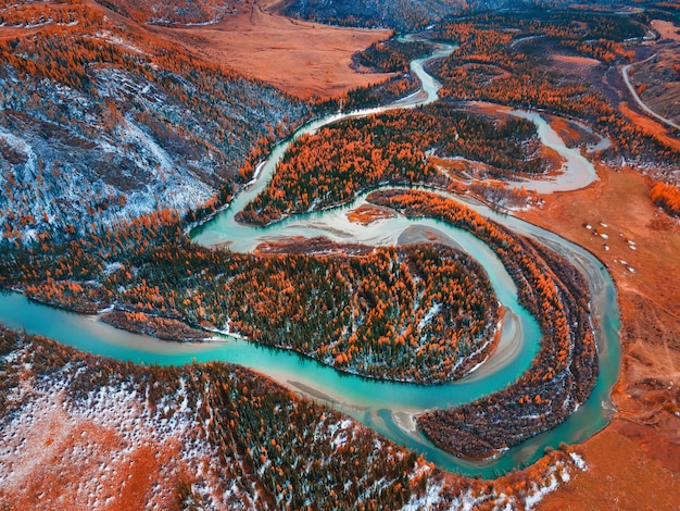 Fiume Chuya nella steppa di Kurai, montagne di Altai, Siberia, Russia. Vista aerea del drone. Fiume azzurro con alberi autunnali gialli e neve. Bellissimo paesaggio autunnale.