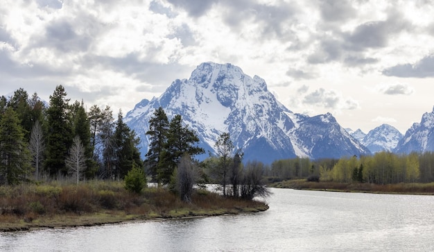 Fiume circondato da alberi e montagne nel paesaggio americano