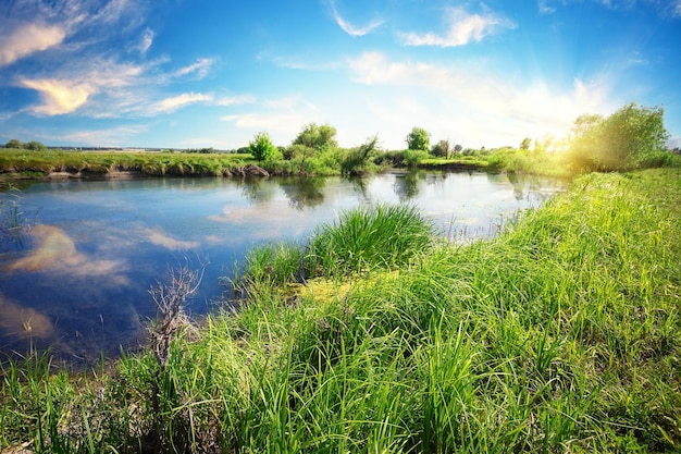 Fiume con erba verde sulla riva e cielo blu