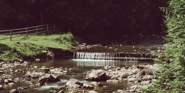 Fiume d'acqua che scorre veloce di montagna nelle rocce con foresta di abeti in stile vintage hipster