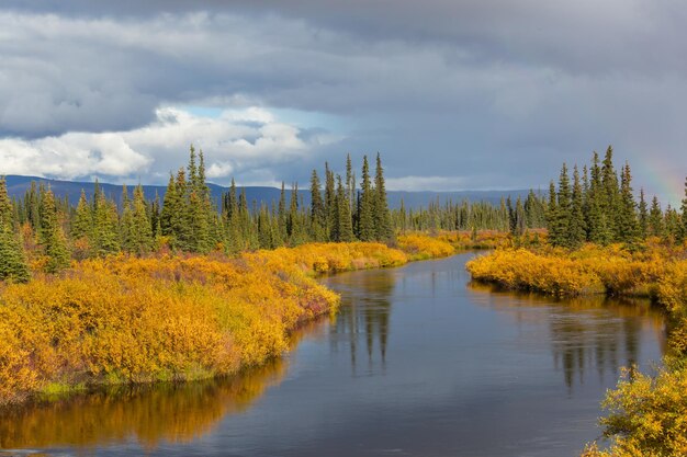 Fiume d'autunno