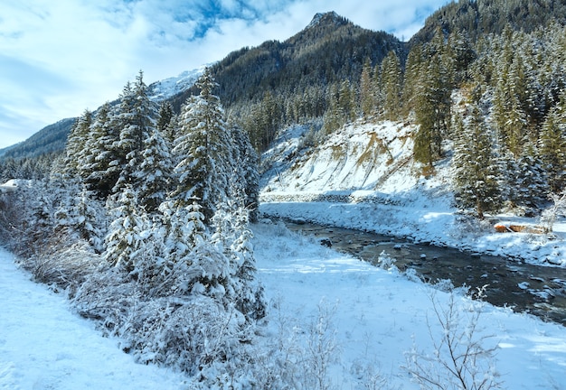 Fiume d'inverno con alberi e cespugli innevati sulla banca.