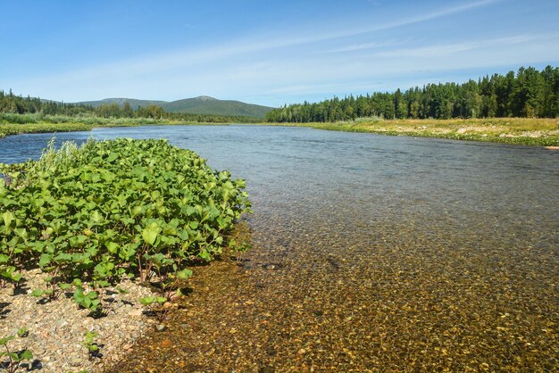 Fiume del Nord in una giornata estiva