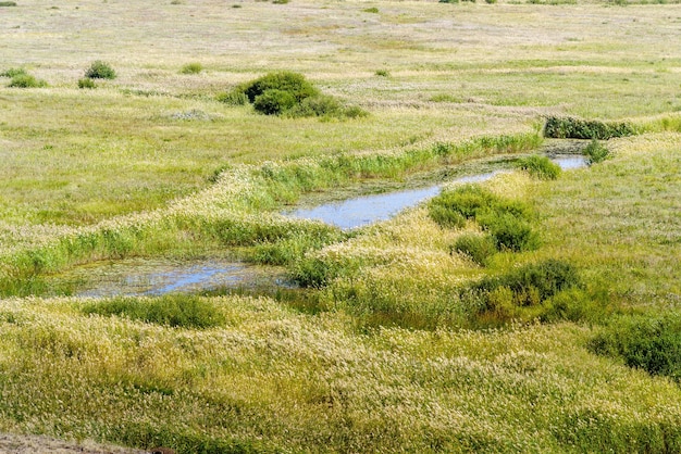 Fiume della steppa con sponde ricoperte di erba. Fiume Bolshaya Karaganka nella regione di Chelyabinsk, Russia