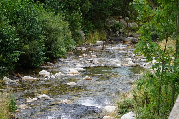 Fiume delle montagne della Catalogna