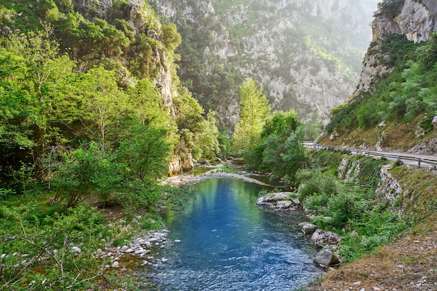 Fiume Deva in Cantabria, in Spagna