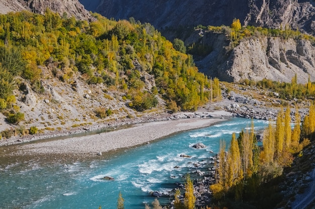 Fiume di Ghizer del turchese che attraversa foresta in Gahkuch, circondato dalle montagne. Gilgit Baltistan, Pakistan.