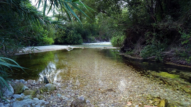 Fiume di montagna, acqua che scorre veloce, acqua limpida, pietre bianche, molte piante verdi Serpis Spagna