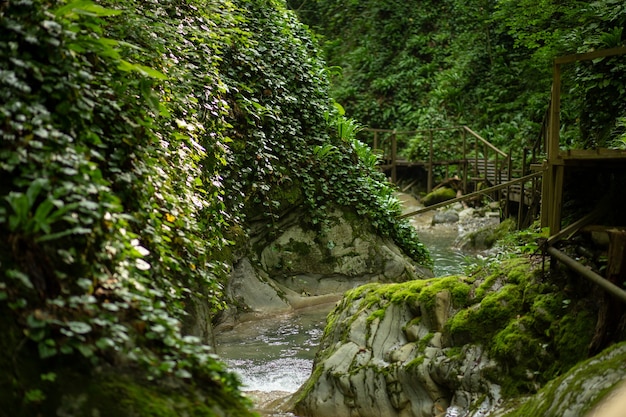 Fiume di montagna, canyon, cascata in un paesaggio tropicale, sentiero con sentiero e gradini in legno