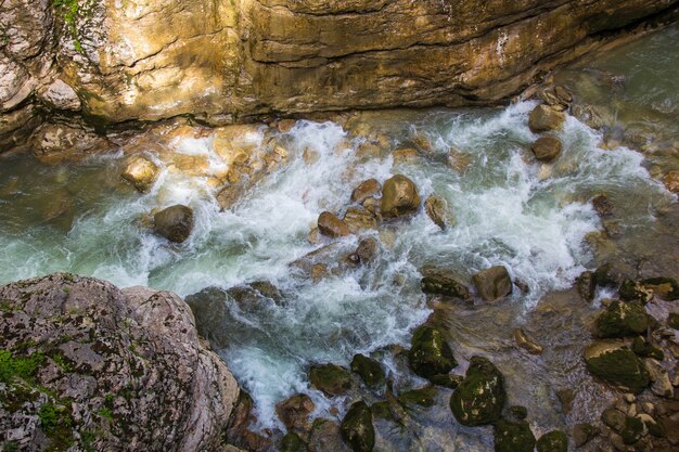 Fiume di montagna che scorre attraverso la foresta verde e molte pietre.