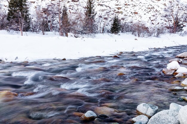 Fiume di montagna che scorre in inverno