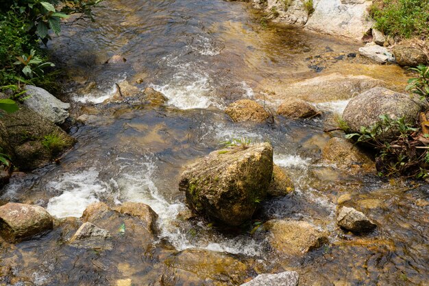 Fiume di montagna che scorre sulle pietre. Bellezza della fauna selvatica in Malesia