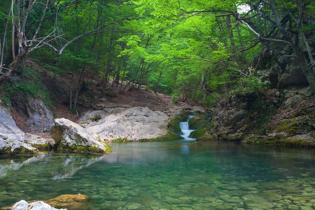 Fiume di montagna con bella cascata