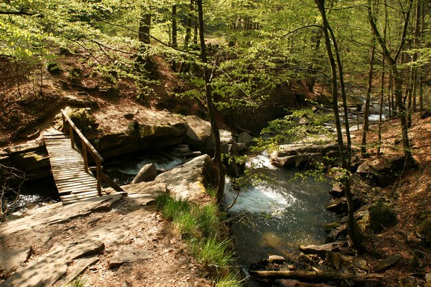 Fiume di montagna con ponte di legno in primavera