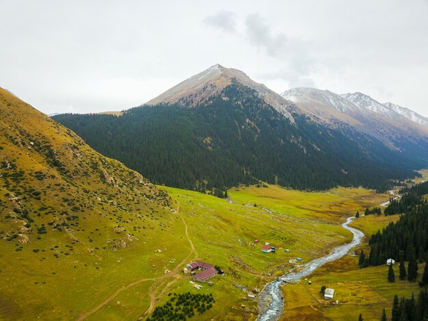 Fiume di montagna e abeti